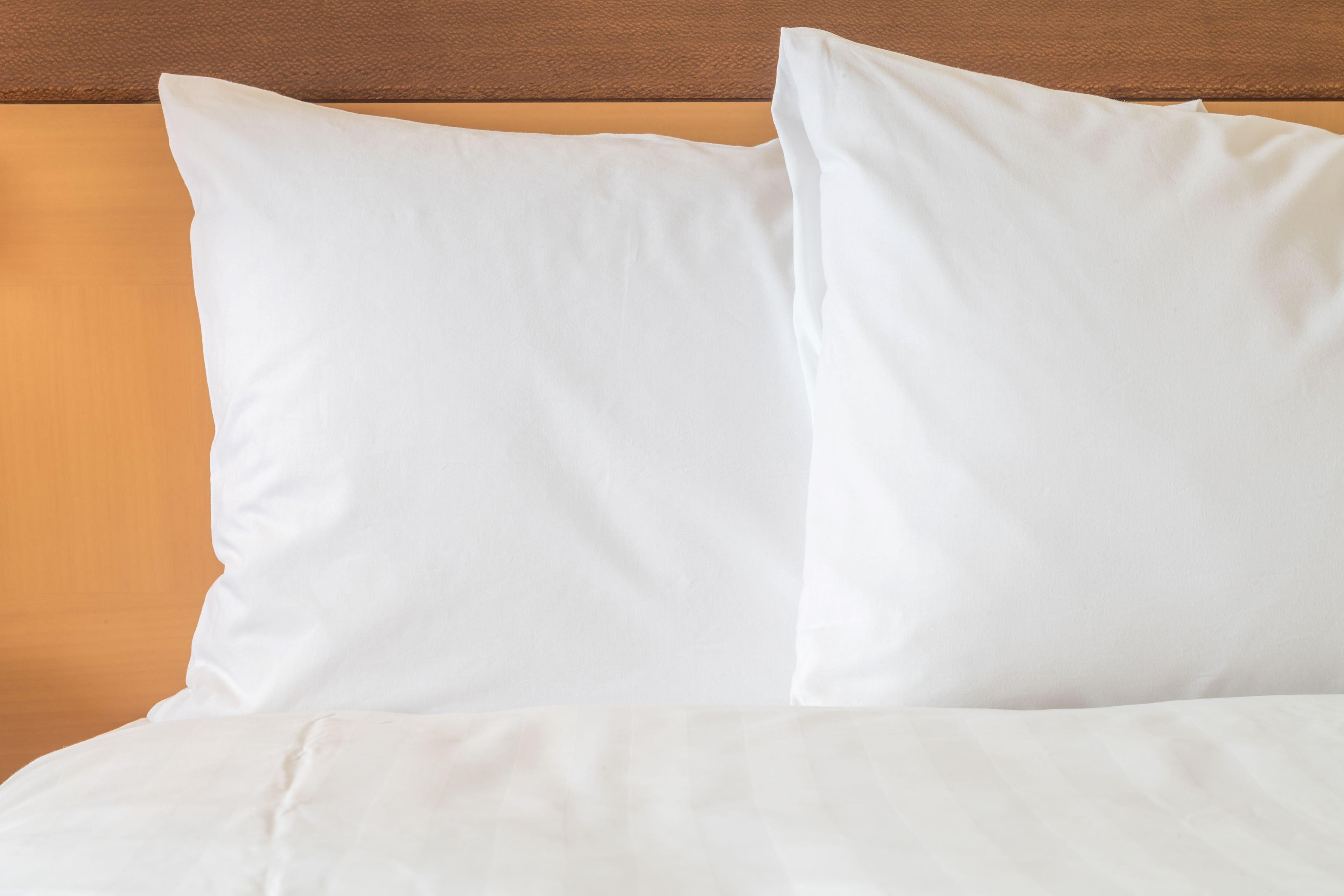 Holiday Inn Hotel & Suites Edmonton Airport Conference Centre By Ihg Nisku Εξωτερικό φωτογραφία